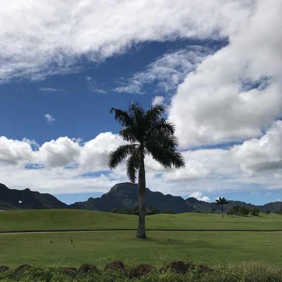 Meet your Posher, Lily - Picture 2 of 2